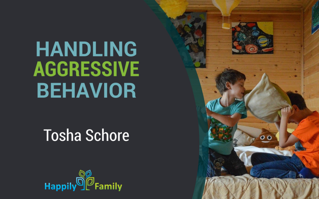 Handling aggressive behavior - Tosha Schore