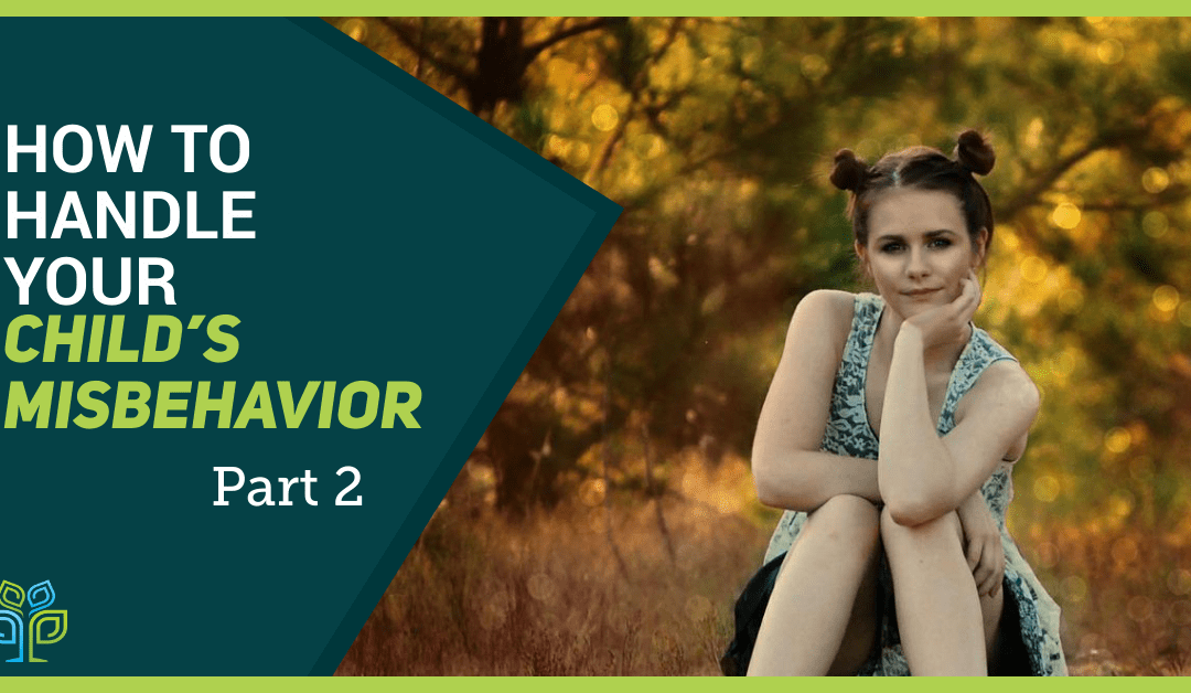 Part 2 – How to handle your child’s misbehavior