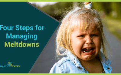 Four Steps for Managing Meltdowns