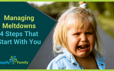 Managing Meltdowns: The 4 Steps That Start With You